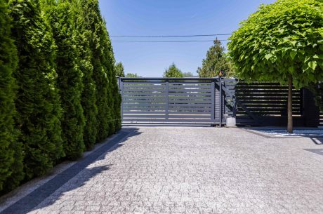 green-trees-and-grey-entry-gate-to-the-property-du-2025-10-02-22-22-48-utc